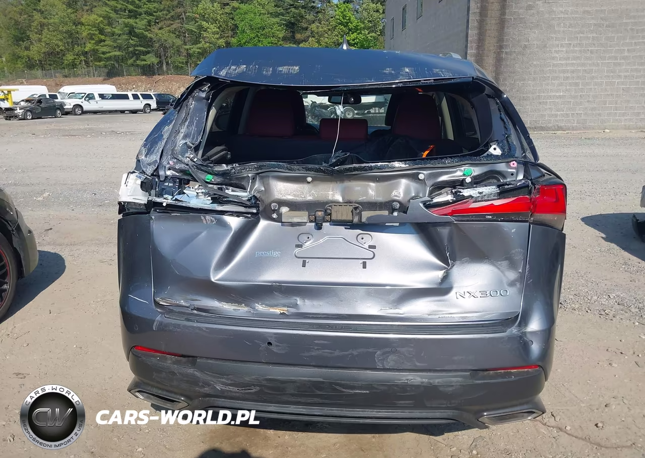 2020 Lexus Nx 300 VIN:JTJDARDZXL2232929 - 6