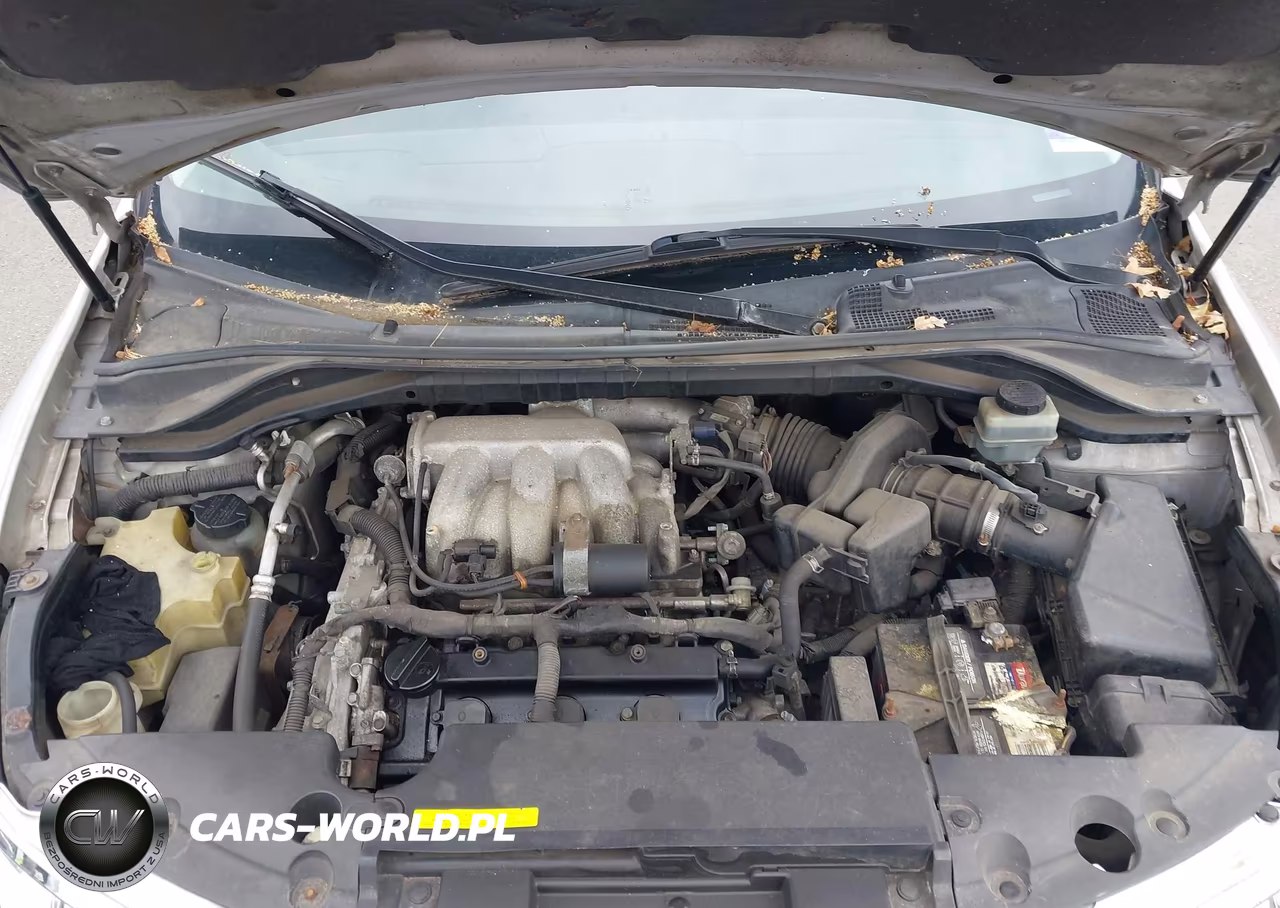 2006 Nissan Murano S VIN:JN8AZ08W96W518668 - 10