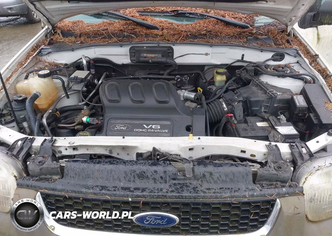2002 Ford Escape Xlt VIN:1FMCU04102KD71098 - 10