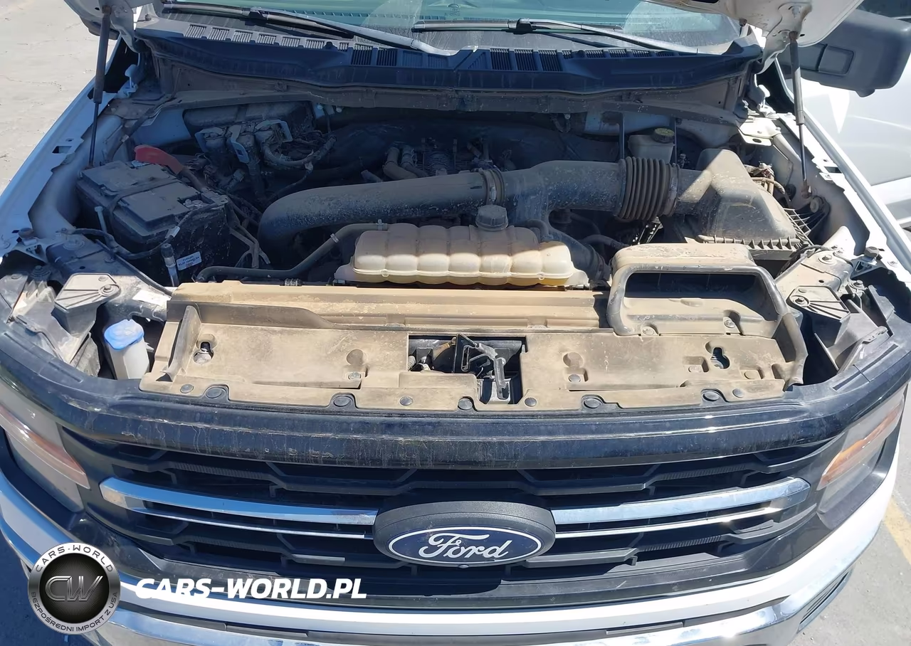 2024 Ford F-150 Xlt VIN:1FTFW3L83RKE28495 - 10
