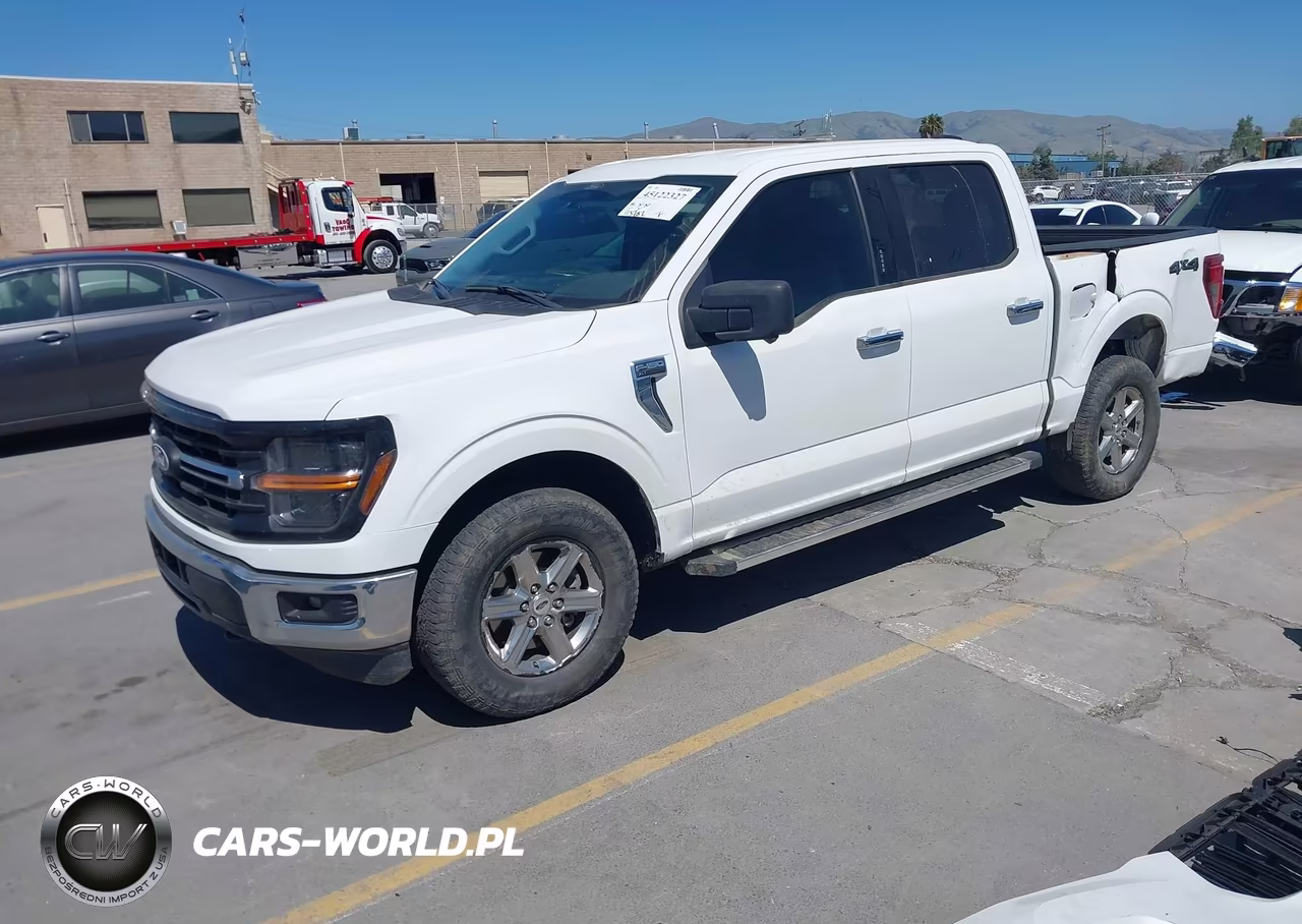 2024 Ford F-150 Xlt VIN:1FTFW3L83RKE28495 - 2