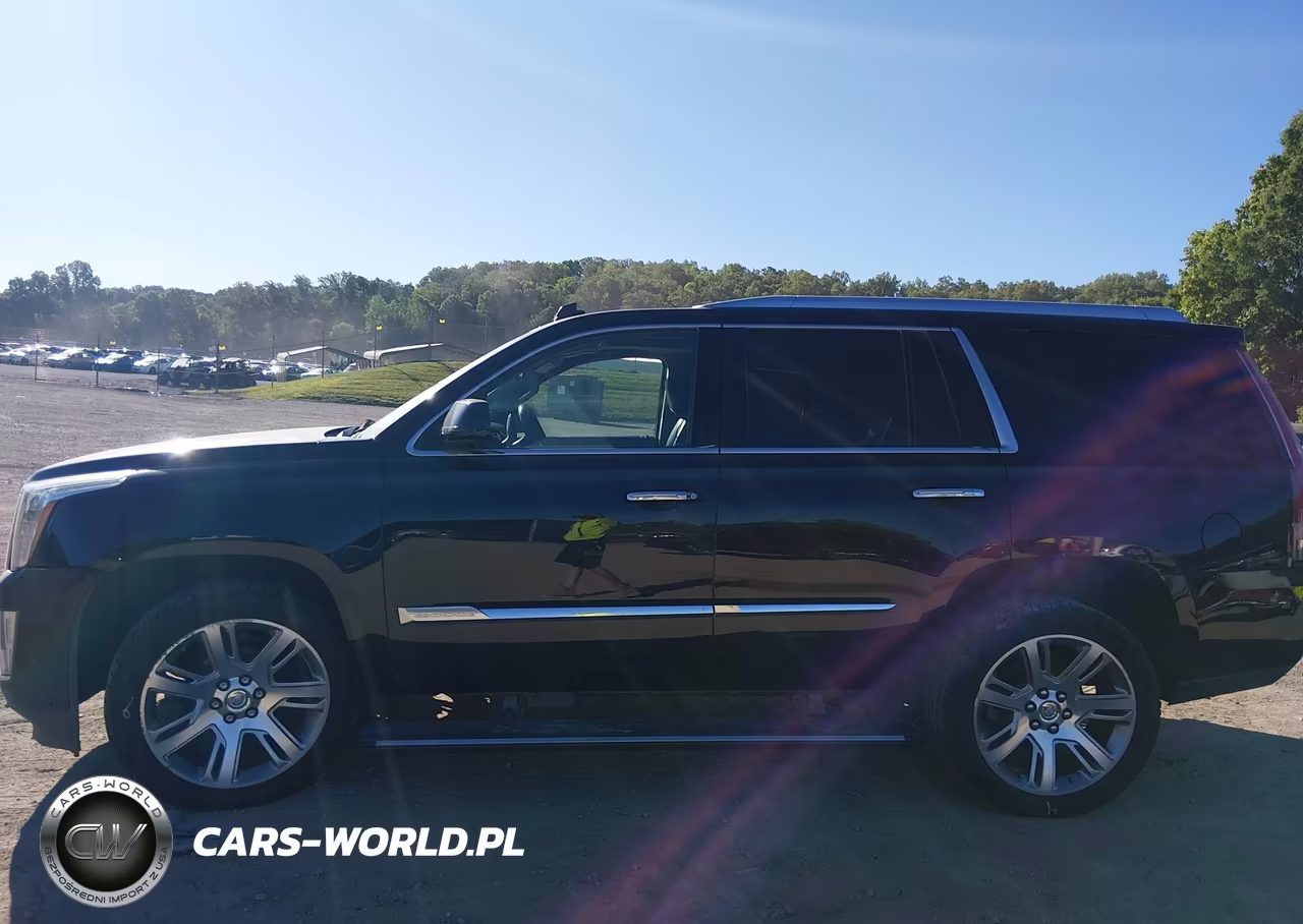 2015 Cadillac Escalade Premium VIN:1GYS4CKJ4FR179520 - 14