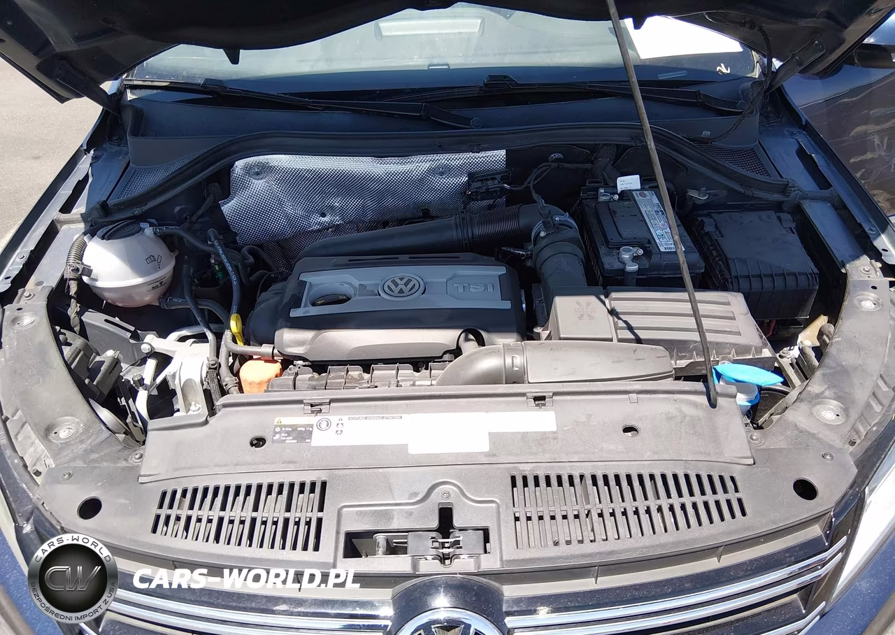 2014 Volkswagen Tiguan Sel VIN:WVGAV3AX7EW559659 - 10