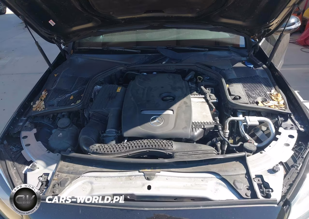 2018 Mercedes-Benz C 300 VIN:55SWF4JB4JU276148 - 10