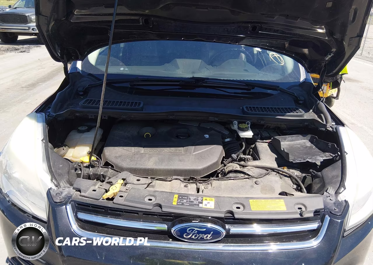 2013 Ford Escape Sel VIN:1FMCU0H97DUA31583 - 10