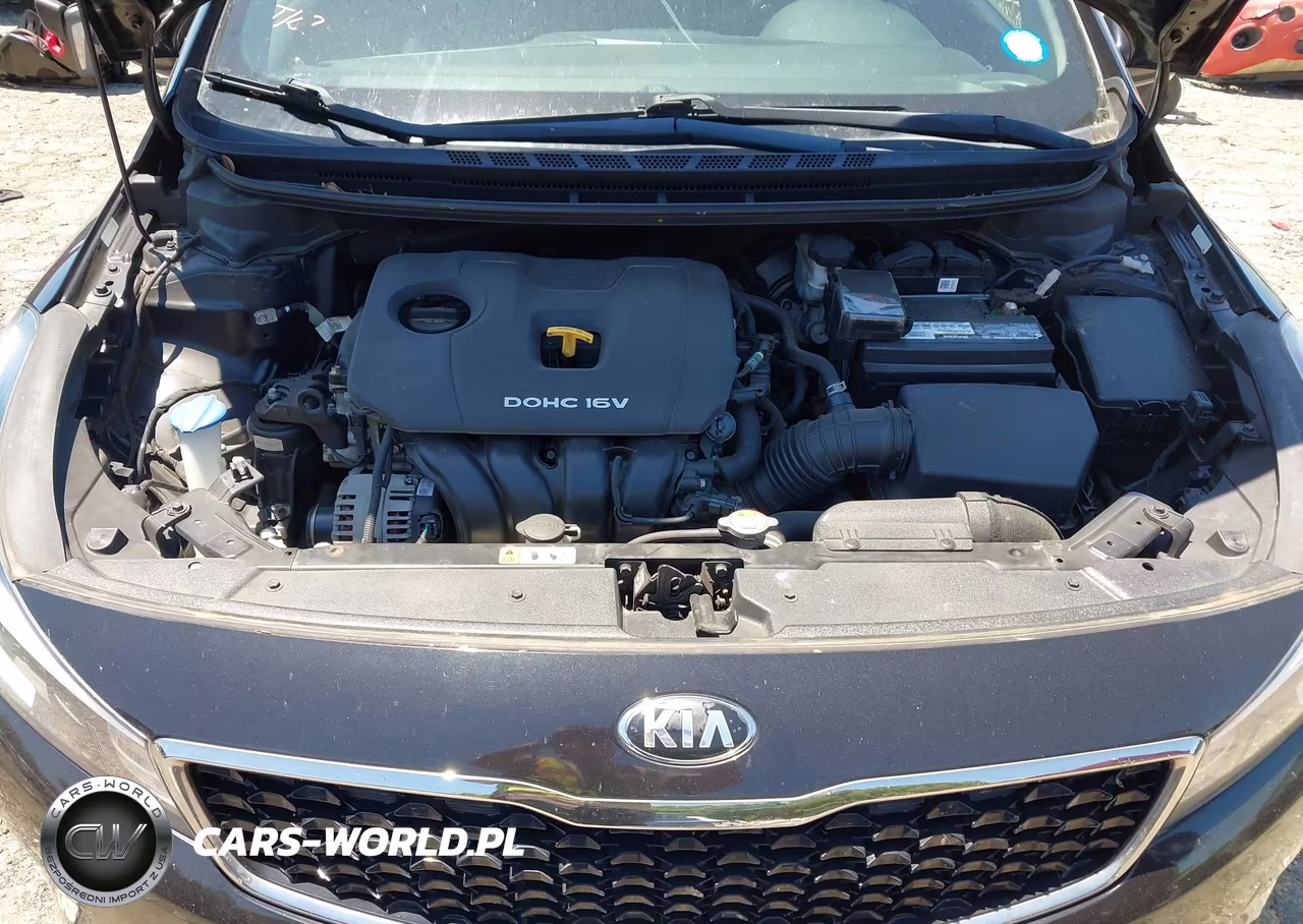 2018 Kia Forte Lx VIN:3KPFL4A79JE256358 - 10