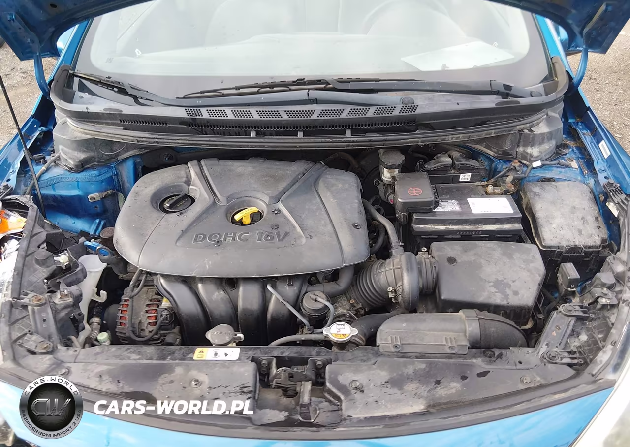 2015 Kia Forte Lx VIN:KNAFX4A63F5344897 - 10