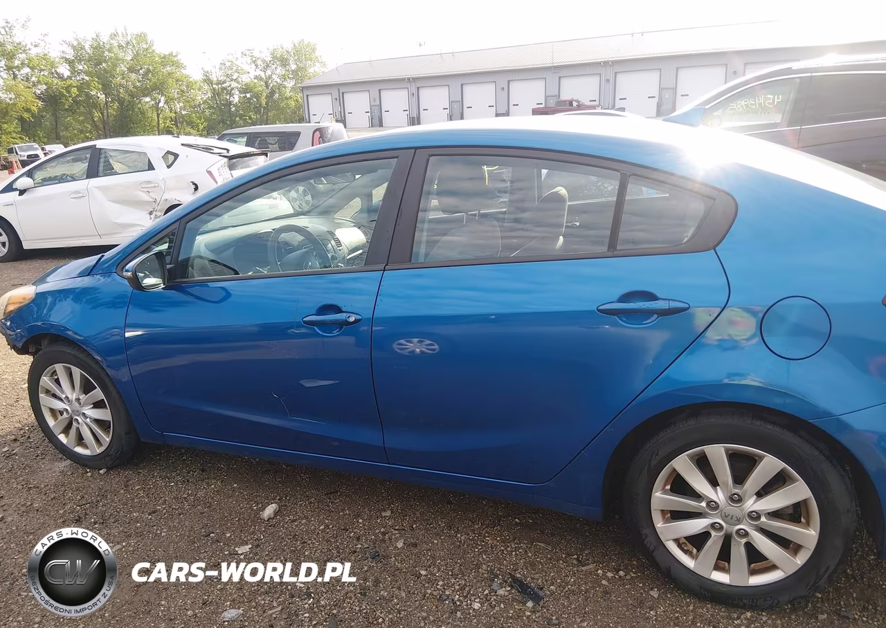 2015 Kia Forte Lx VIN:KNAFX4A63F5344897 - 15