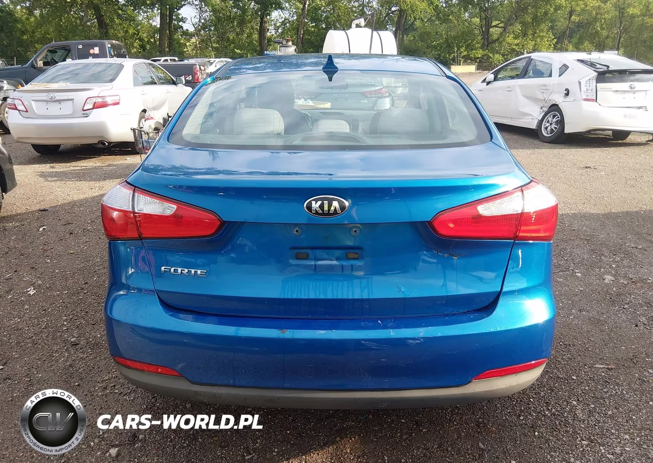 2015 Kia Forte Lx VIN:KNAFX4A63F5344897 - 17