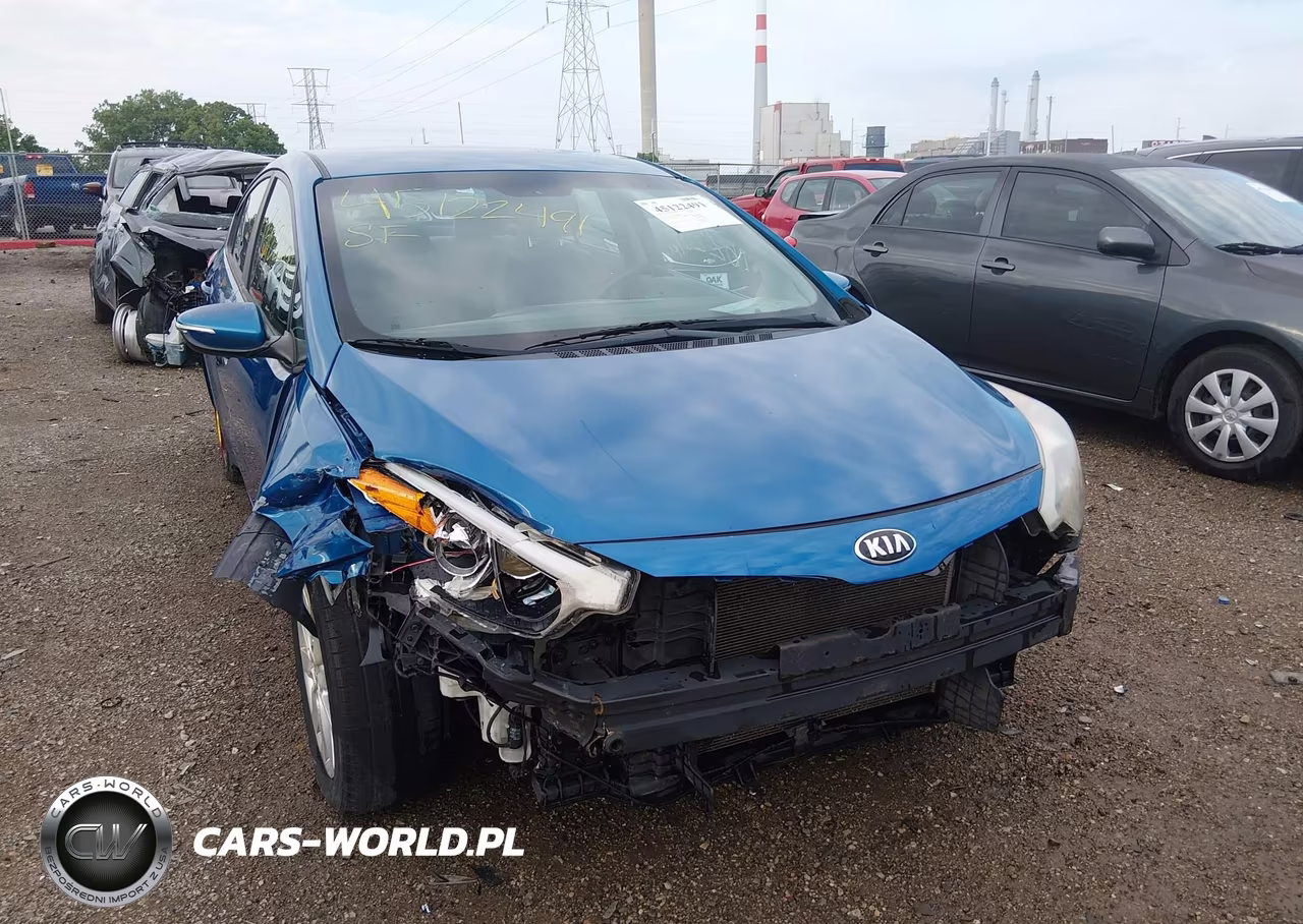2015 Kia Forte Lx VIN:KNAFX4A63F5344897 - 6