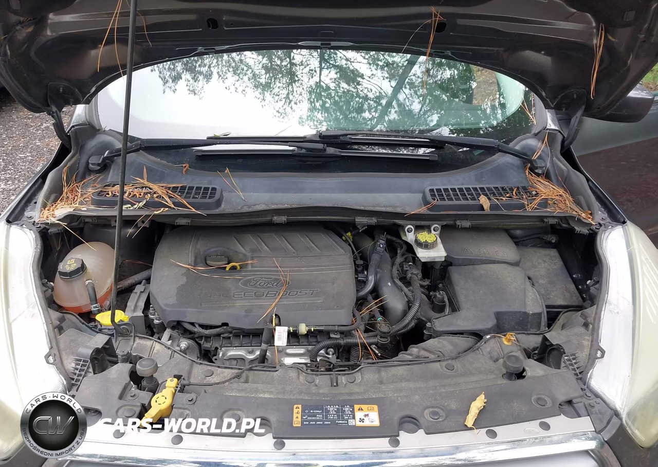 2017 Ford Escape Se VIN:1FMCU0GD2HUB57233 - 10