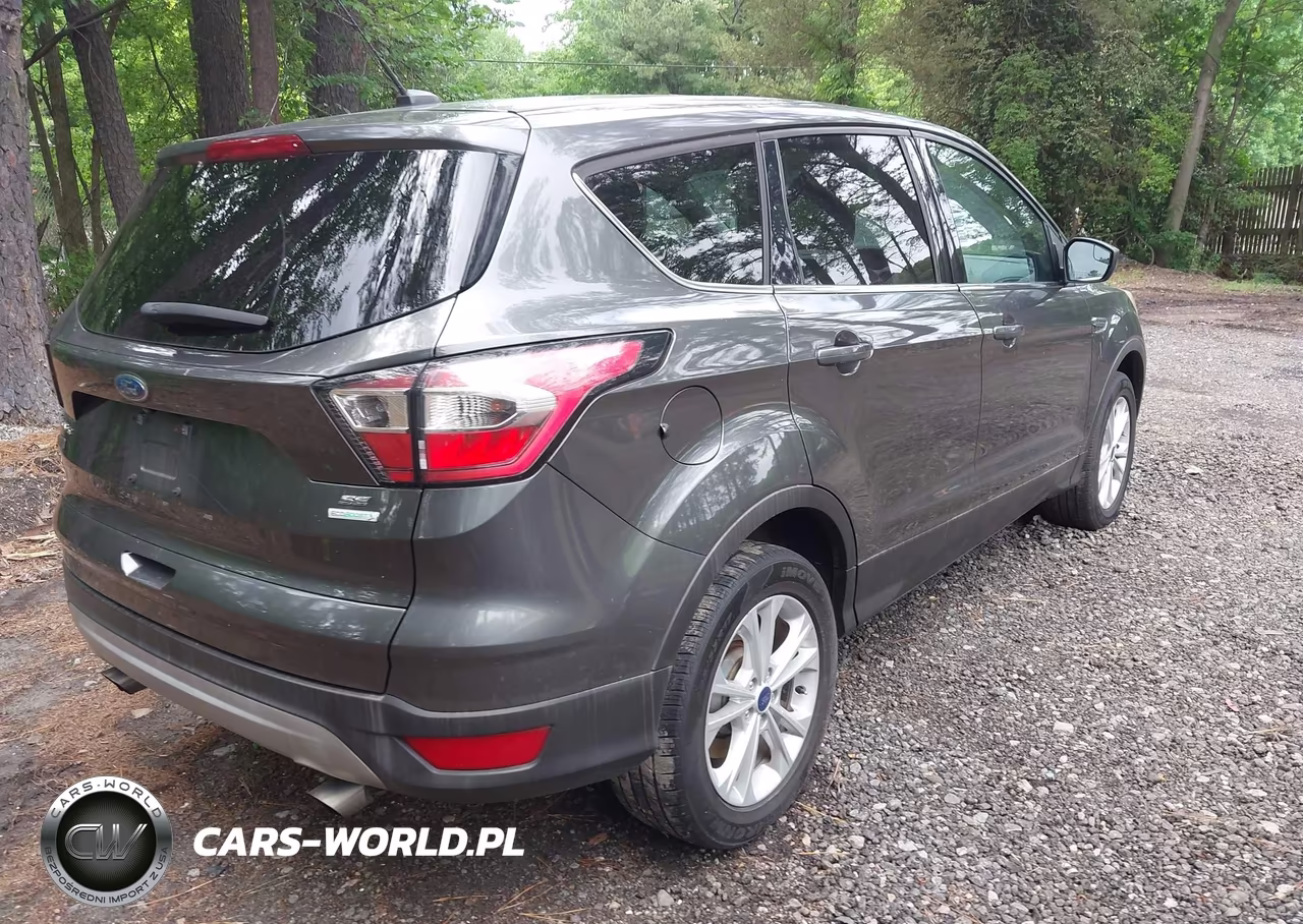 2017 Ford Escape Se VIN:1FMCU0GD2HUB57233 - 4