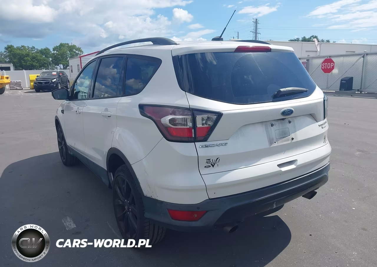 2017 Ford Escape Titanium VIN:1FMCU0JD2HUB73229 - 3