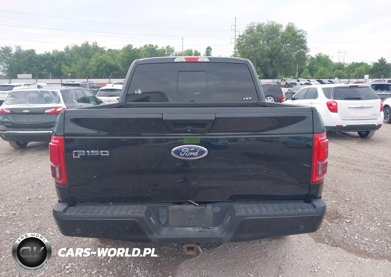 2016 Ford F-150 Lariat VIN:1FTEW1EP3GKE44715 - 16
