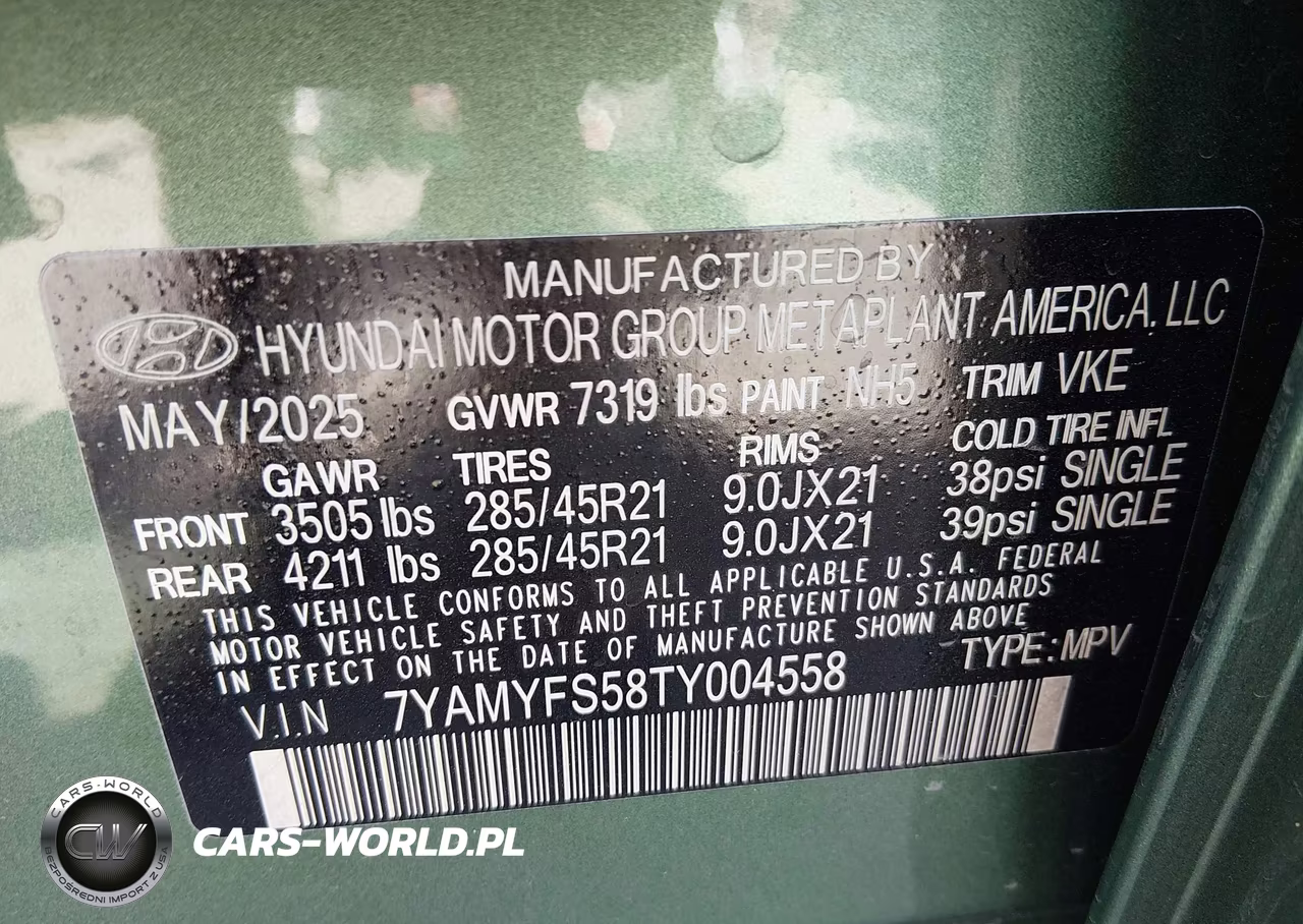 2026 Hyundai Ioniq 9 Performance Calligraphy VIN:7YAMYFS58TY004558 - 9