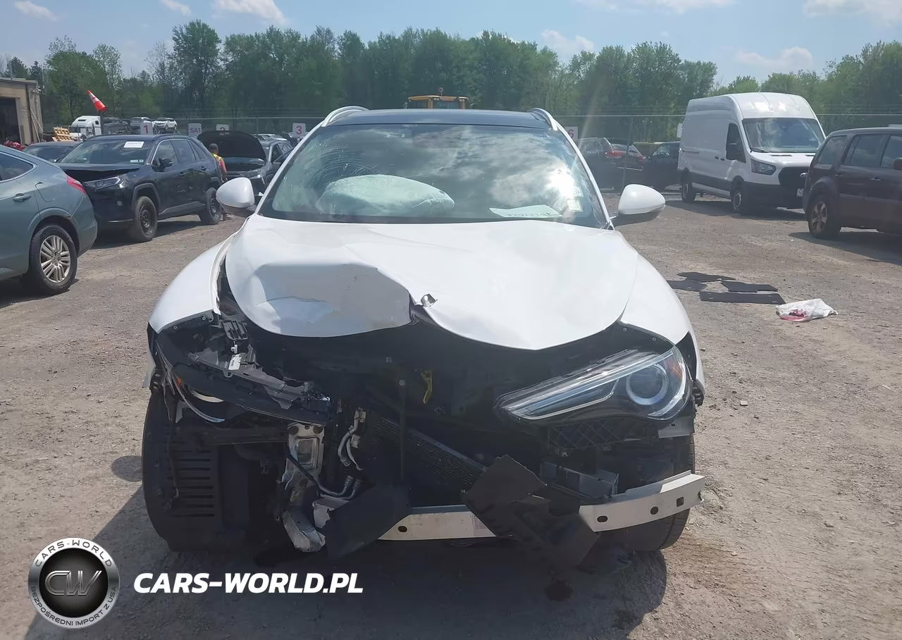2018 Alfa Romeo Stelvio Awd VIN:ZASFAKAN8J7B83726 - 12