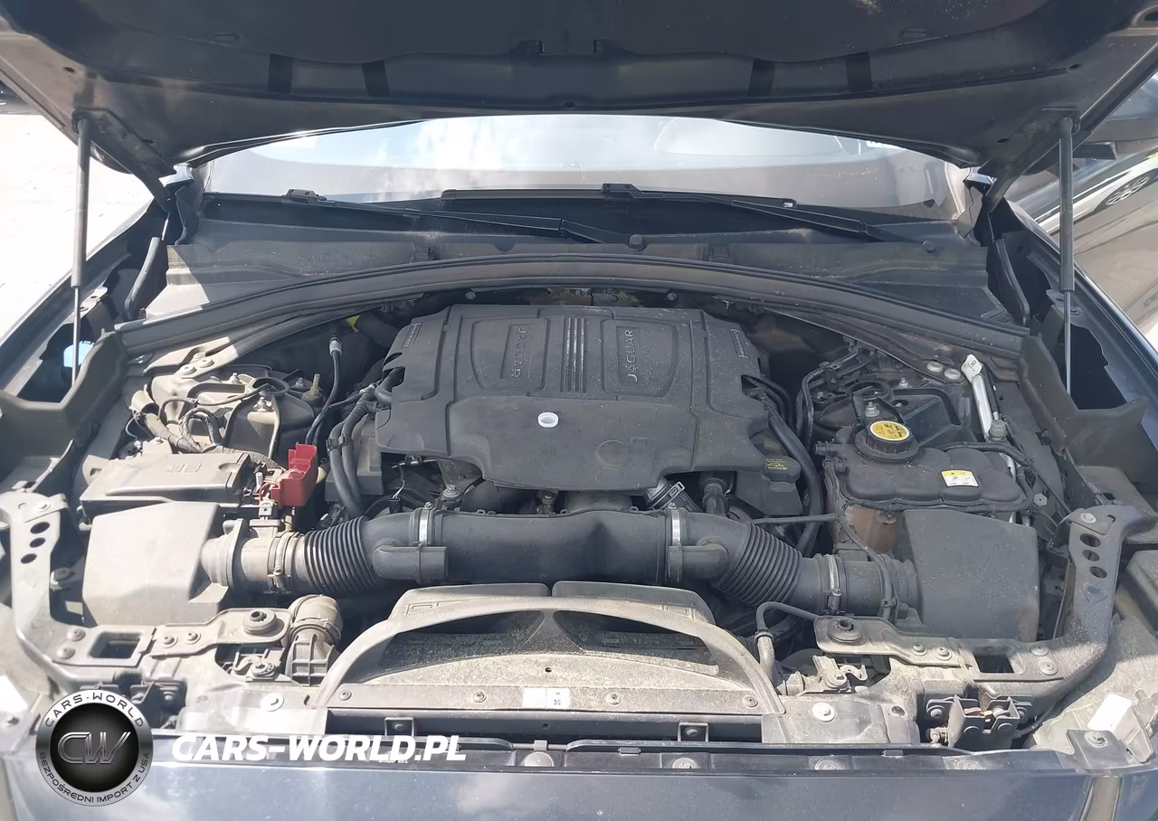 2019 Jaguar F-Pace S VIN:SADCM2FV6KA609188 - 10