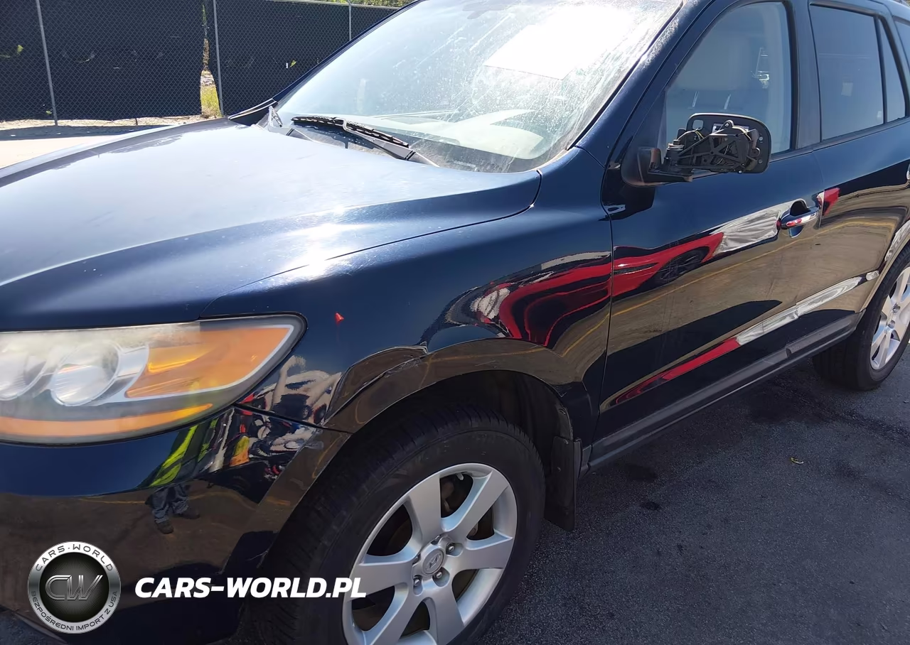 2009 Hyundai Santa Fe Limited VIN:5NMSH13E59H327702 - 6