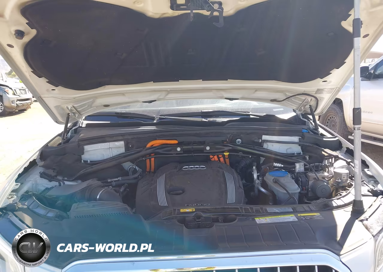 2014 Audi Q5 Hybrid 2.0T Prestige VIN:WA1C8AFP3EA063038 - 10