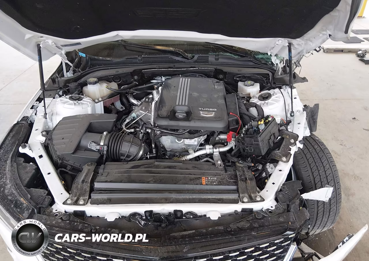 2024 Cadillac Ct4 Luxury VIN:1G6DK5RK9R0124071 - 10