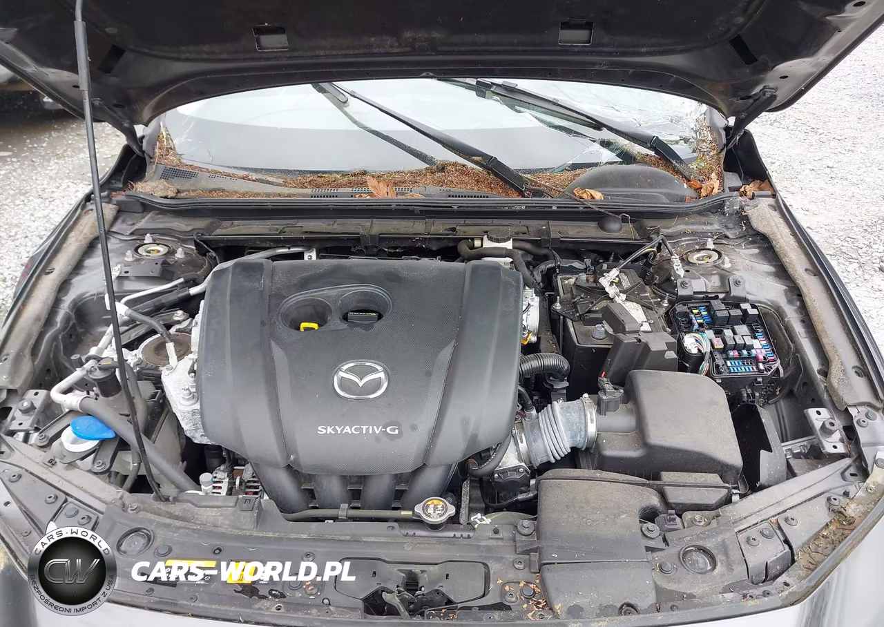 2020 Mazda Mazda3 Premium Package VIN:3MZBPBEM1LM118245 - 10