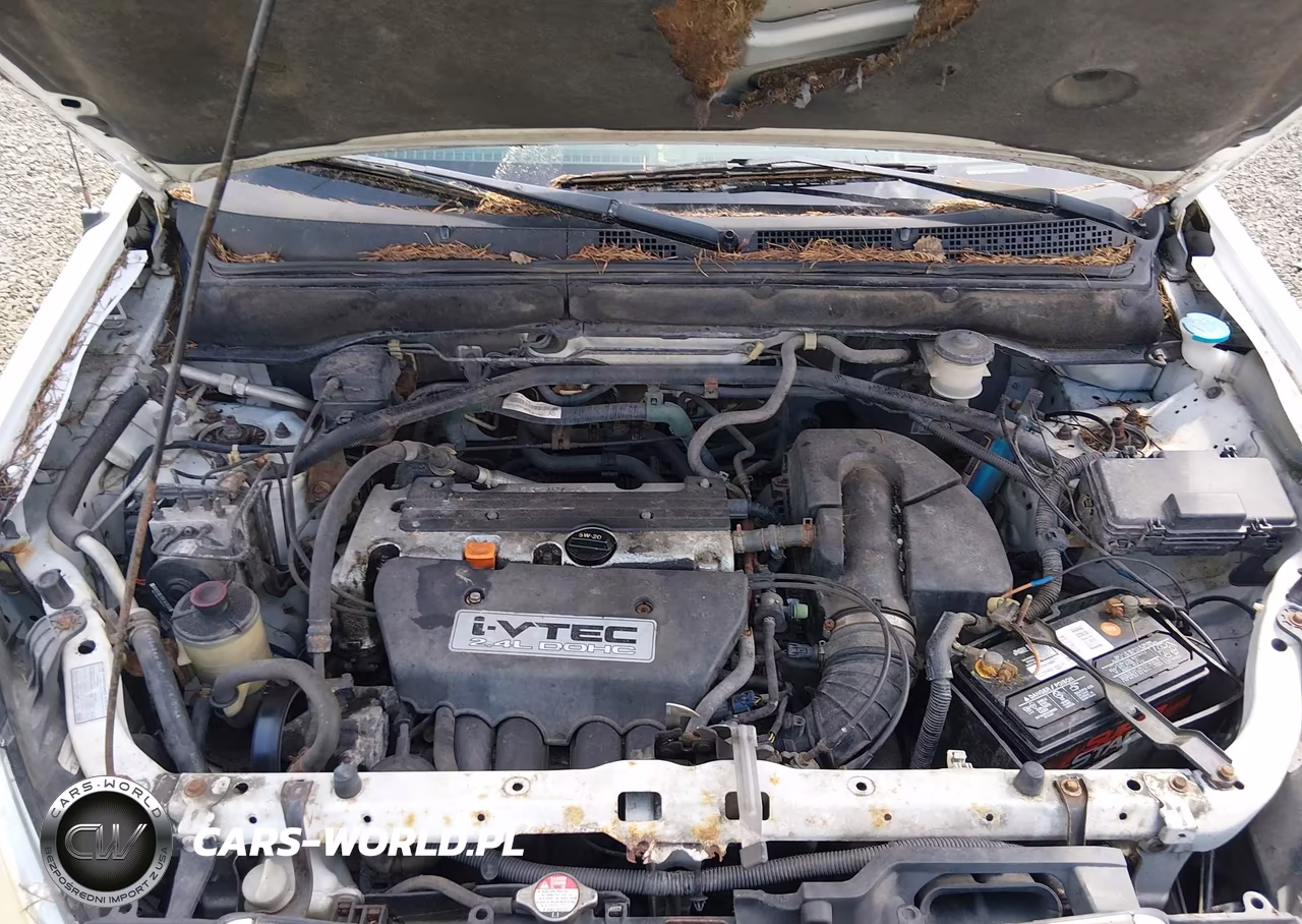 2003 Honda Cr-V Ex VIN:SHSRD788X3U122300 - 10