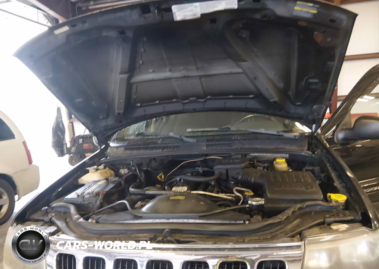 2002 Jeep Grand Cherokee Laredo VIN:1J4GW48S12C319901 - 10
