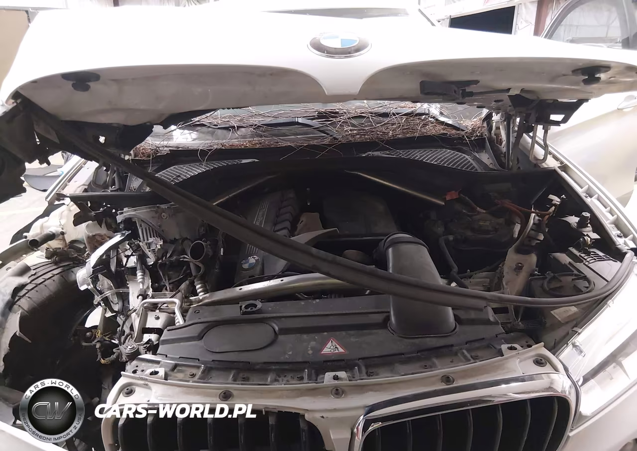 2015 BMW X6 xDrive35I VIN:5UXKU2C51F0N77238 - 10