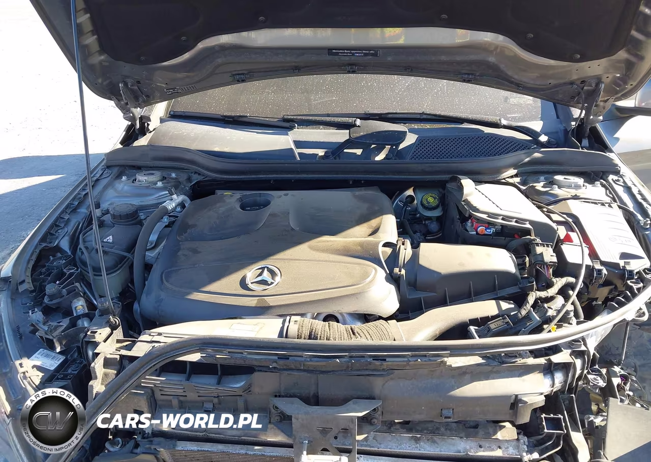 2014 Mercedes-Benz Cla 250 VIN:WDDSJ4EB8EN047459 - 10