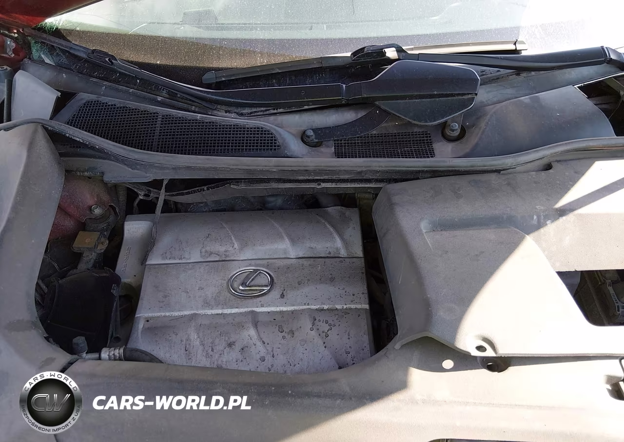 2011 Lexus Rx 350 VIN:2T2BK1BA8BC086094 - 10