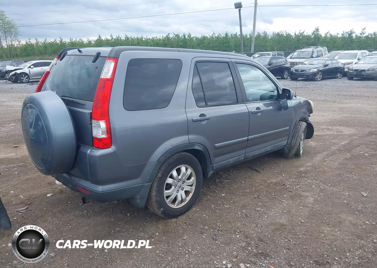 2006 Honda Cr-V Se VIN:SHSRD78986U407784 - 4