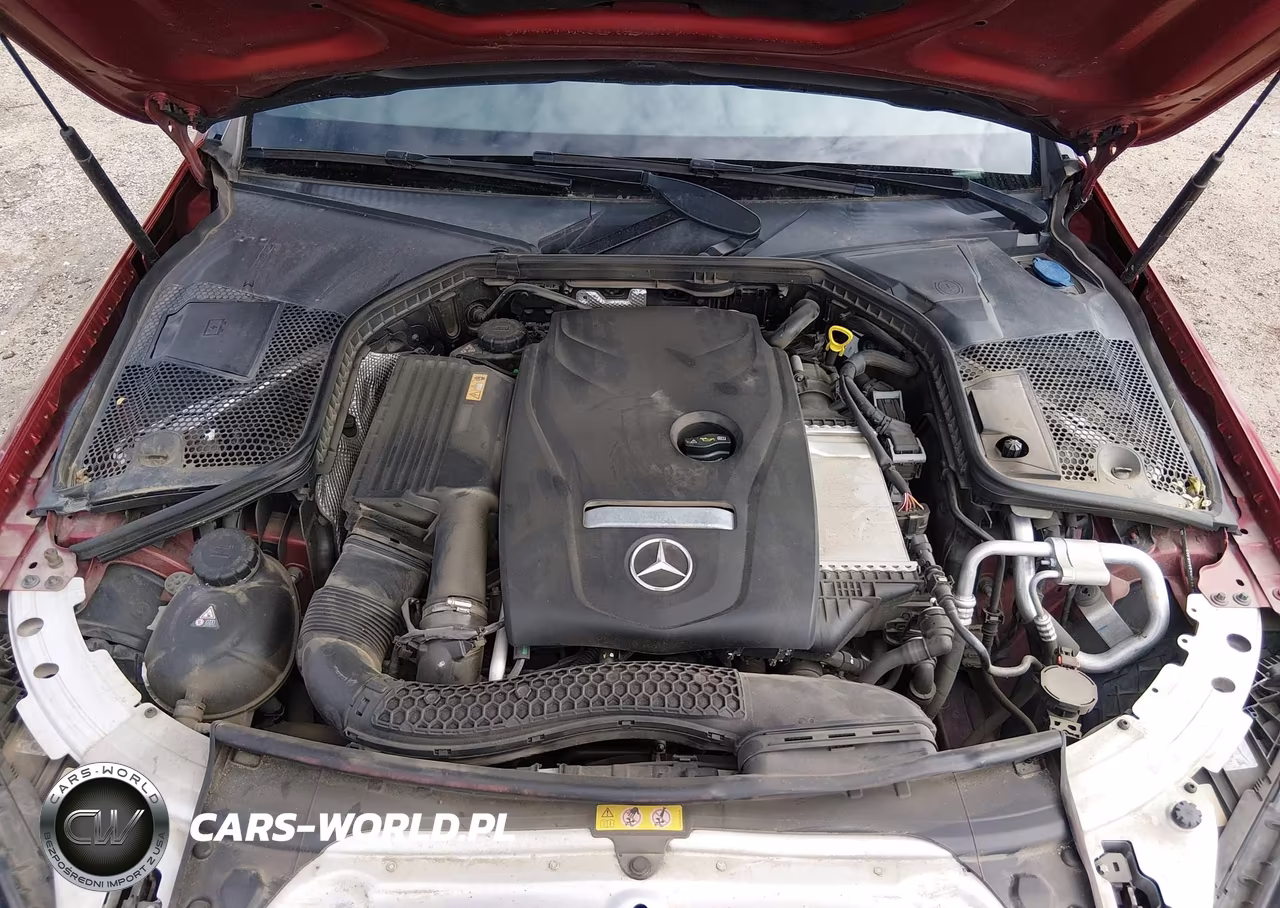 2017 Mercedes-Benz C 300 Sport 4Matic VIN:55SWF4KB9HU185305 - 10