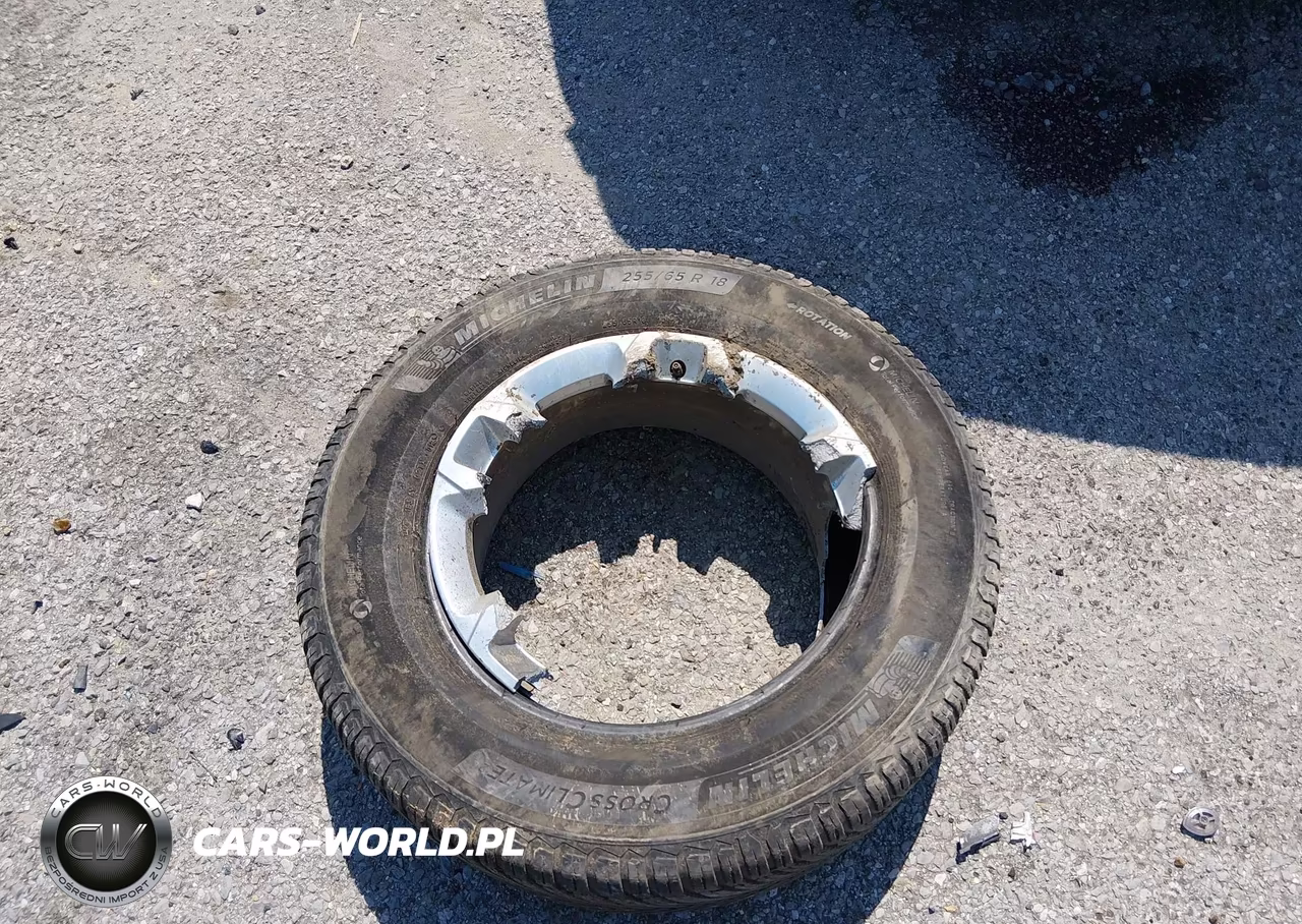 2019 Chevrolet Traverse Ls VIN:1GNERFKW4KJ296399 - 12