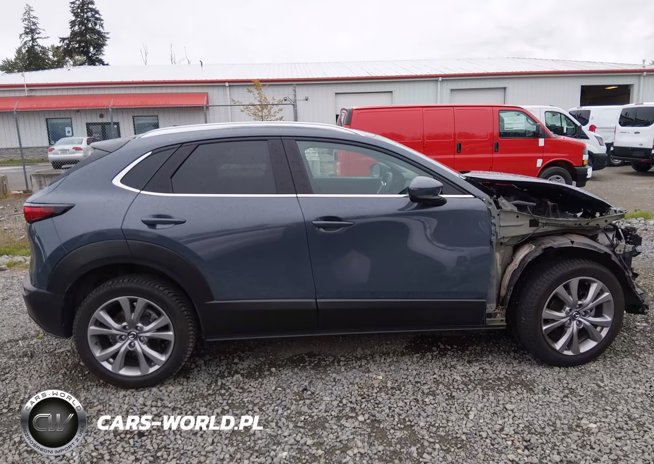 2020 Mazda Cx-30 Premium Package VIN:3MVDMBEM7LM109519 - 14