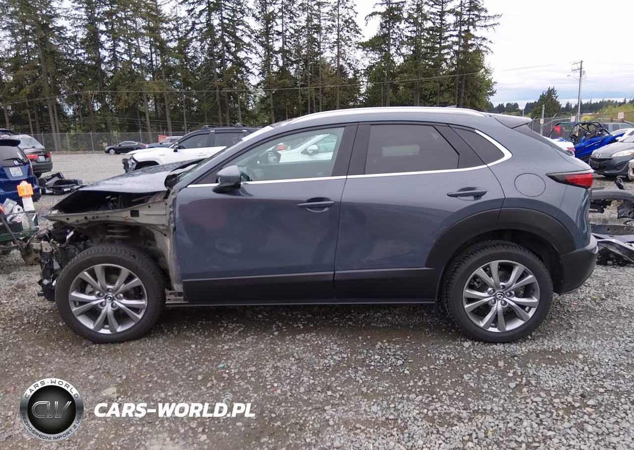 2020 Mazda Cx-30 Premium Package VIN:3MVDMBEM7LM109519 - 15