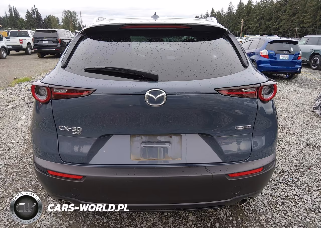 2020 Mazda Cx-30 Premium Package VIN:3MVDMBEM7LM109519 - 17