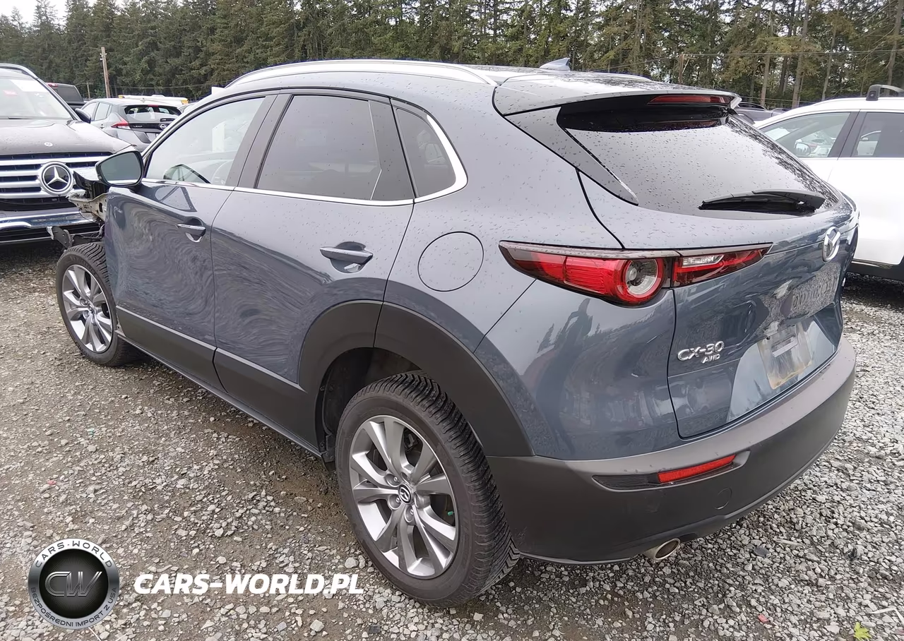 2020 Mazda Cx-30 Premium Package VIN:3MVDMBEM7LM109519 - 3