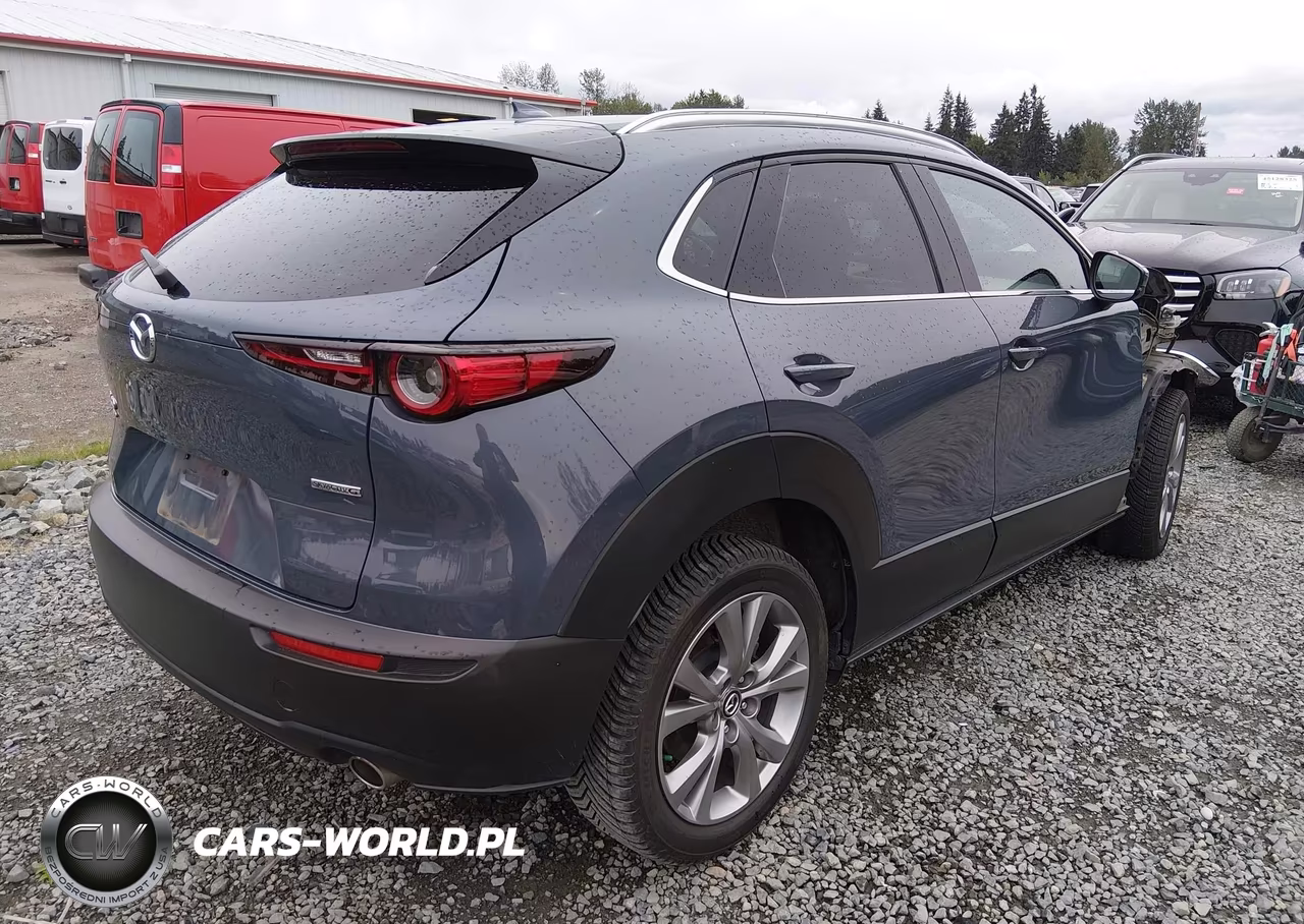 2020 Mazda Cx-30 Premium Package VIN:3MVDMBEM7LM109519 - 4