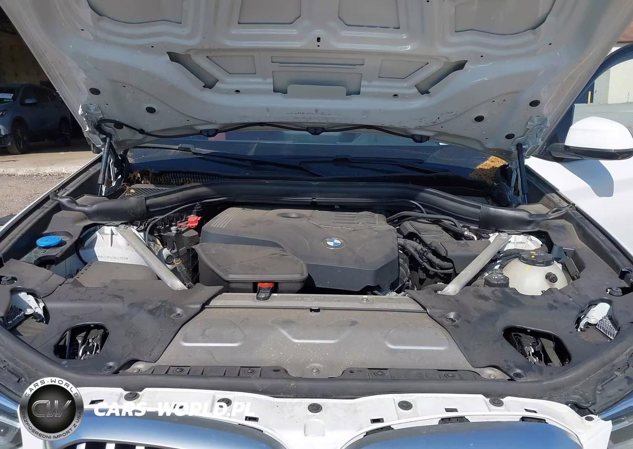 2024 BMW X3 xDrive30I VIN:WBX57DP02RN261969 - 10