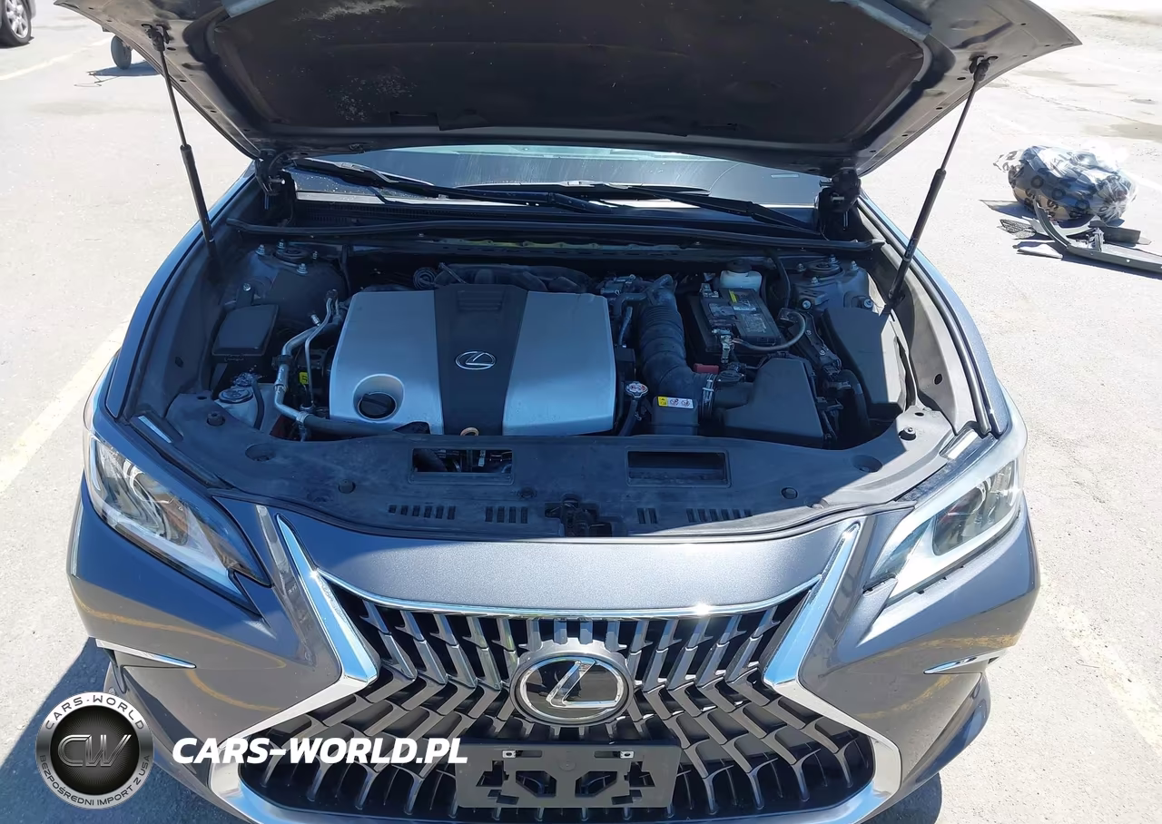 2023 Lexus Es 350 VIN:58ACZ1B13PU141649 - 10