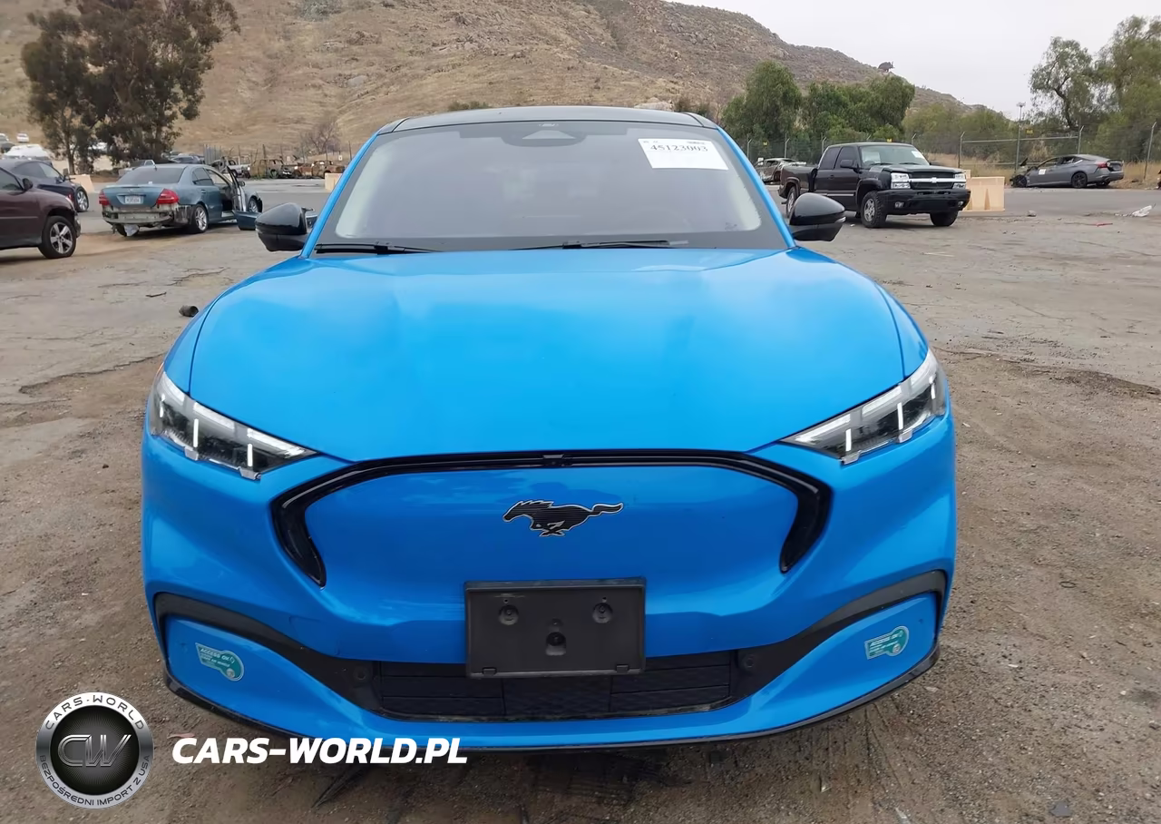 2024 Ford Mustang Mach-E Premium VIN:3FMTK3R79RMA46635 - 12