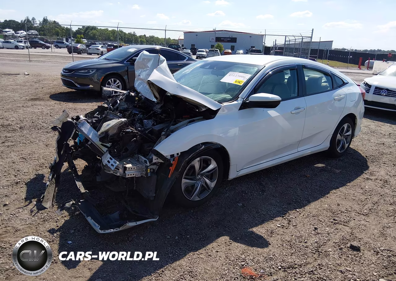 2019 Honda Civic Lx VIN:2HGFC2F67KH562244 - 2