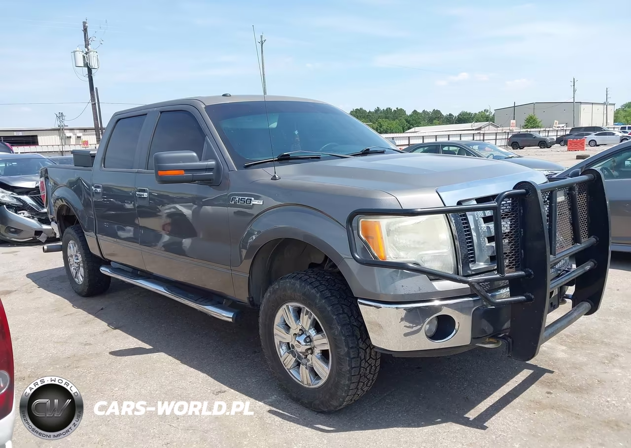 2009 Ford F-150 Xl-Xlt VIN:1FTRW14889FA12242 - 13
