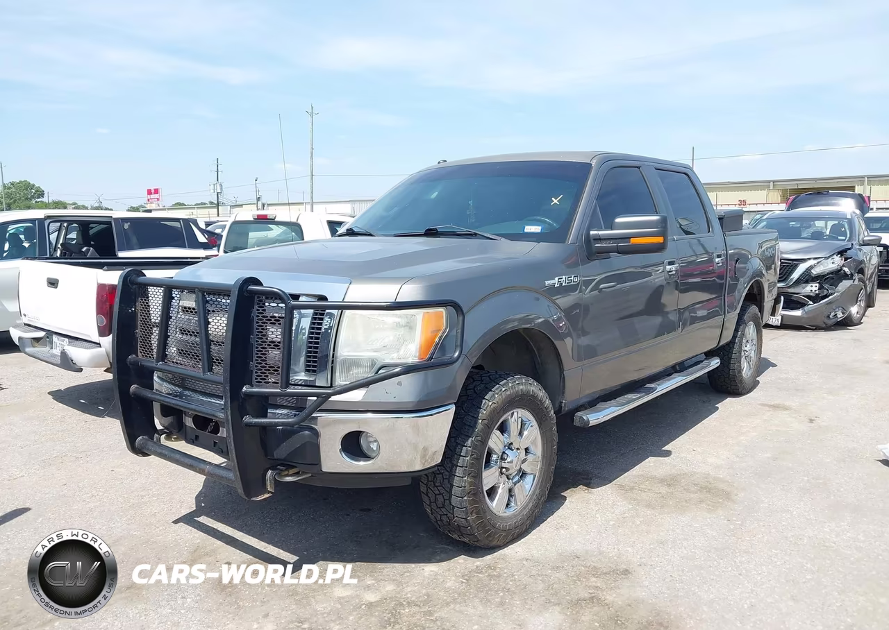 2009 Ford F-150 Xl-Xlt VIN:1FTRW14889FA12242 - 2
