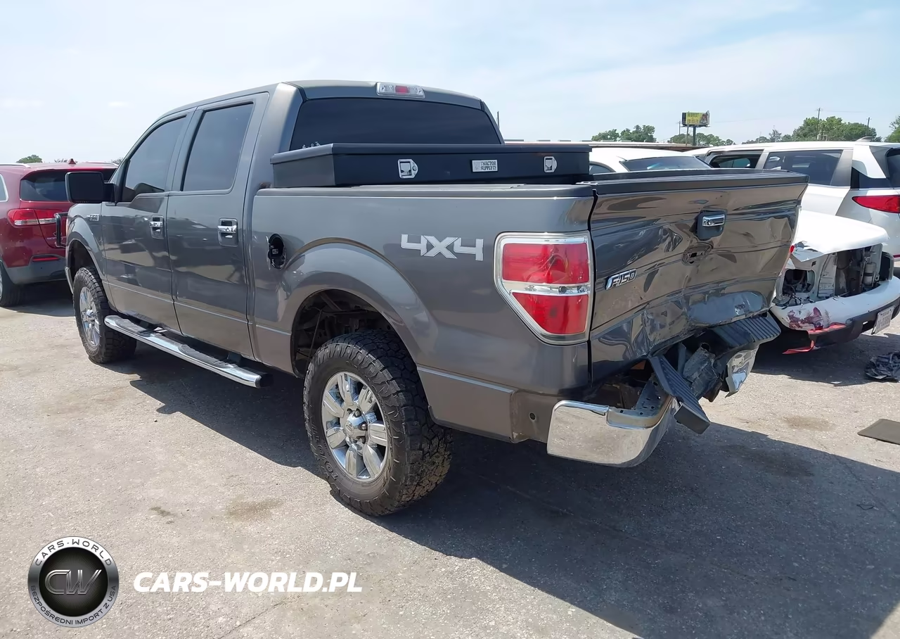 2009 Ford F-150 Xl-Xlt VIN:1FTRW14889FA12242 - 3