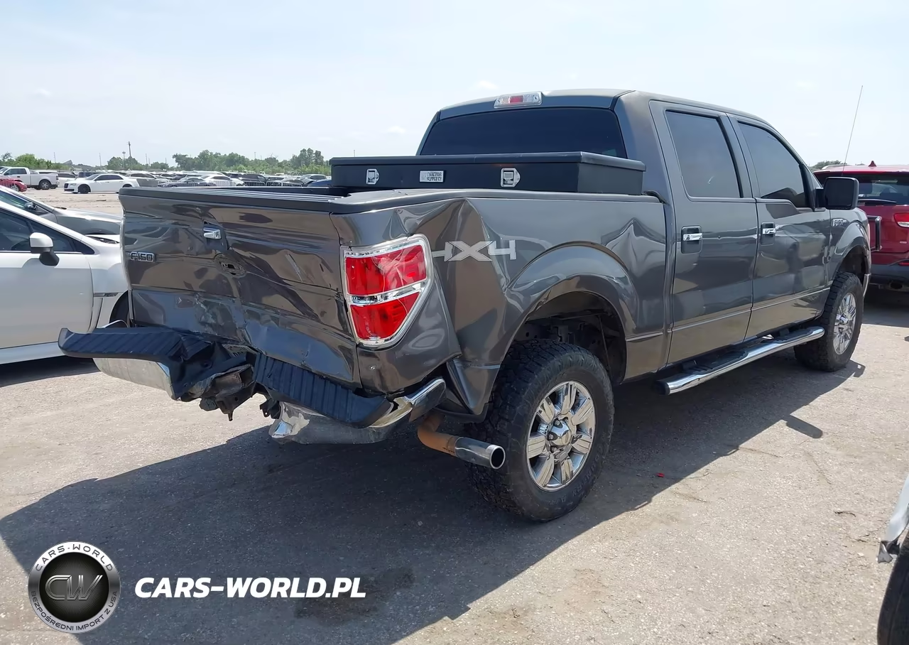 2009 Ford F-150 Xl-Xlt VIN:1FTRW14889FA12242 - 4
