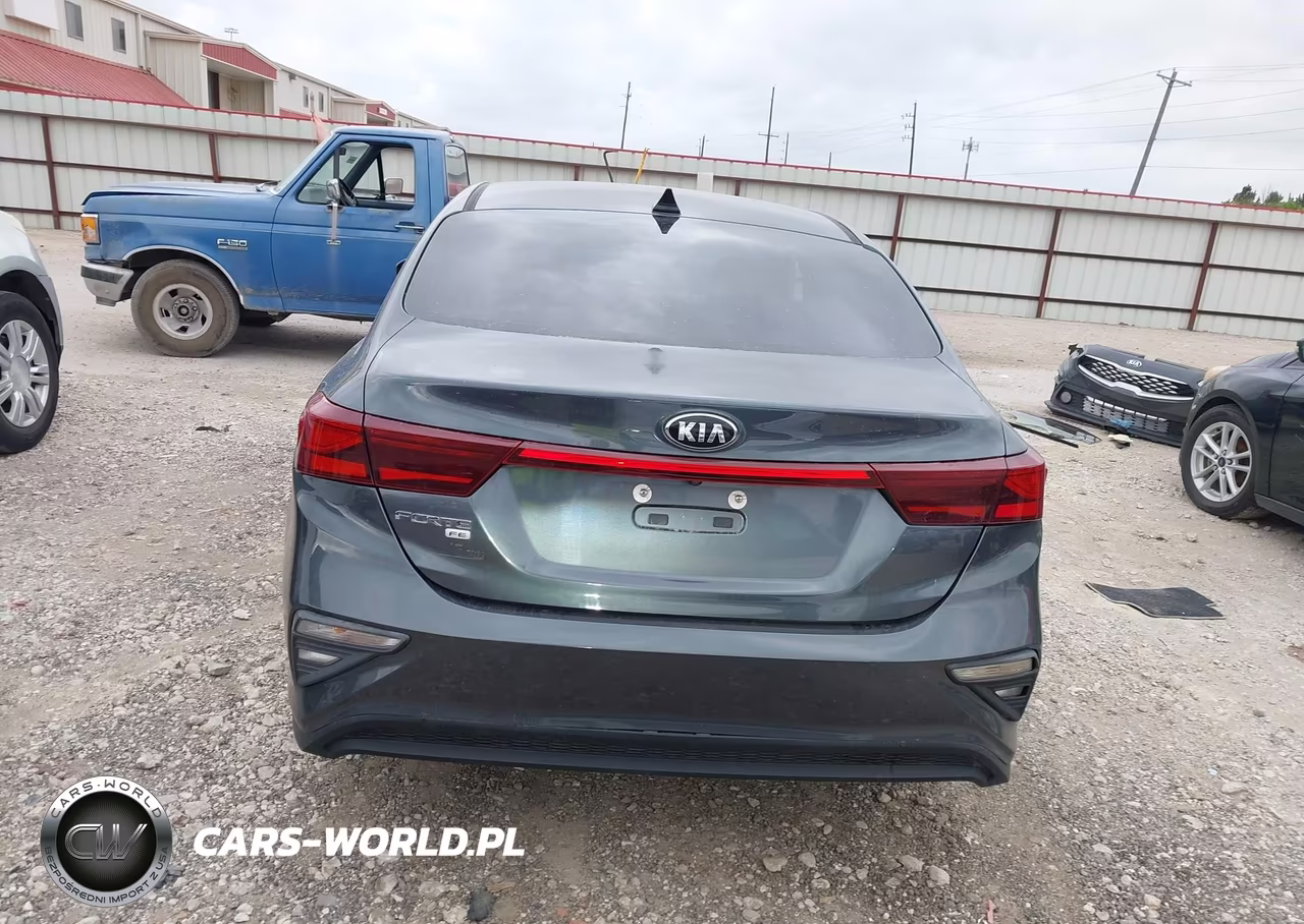 2020 Kia Forte Fe VIN:3KPF24AD8LE181549 - 17