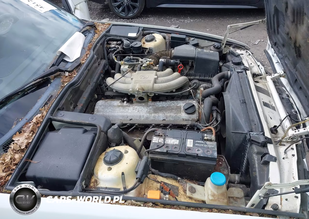 1990 BMW 525 I Automatic VIN:WBAHC2312LBE30891 - 10