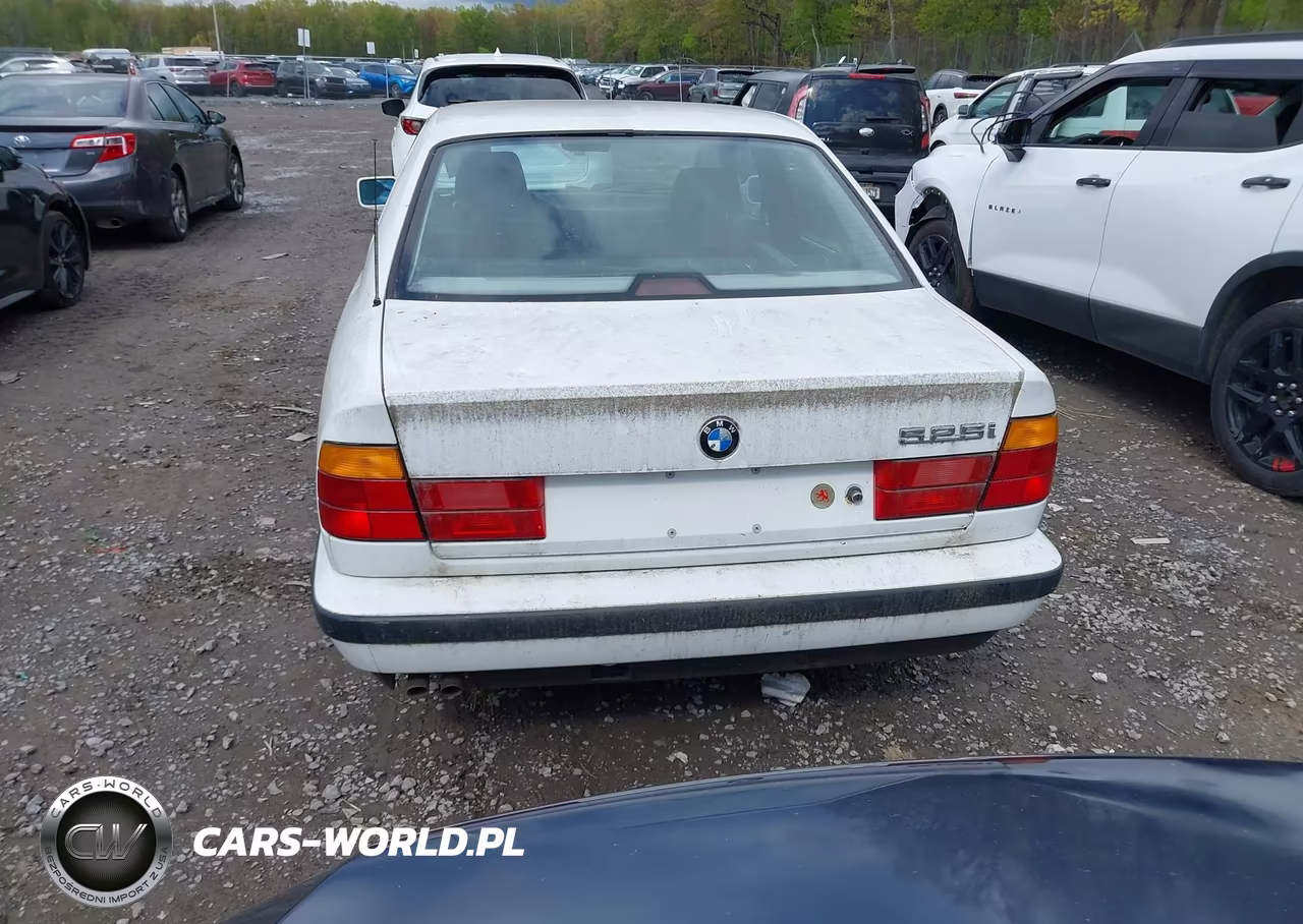 1990 BMW 525 I Automatic VIN:WBAHC2312LBE30891 - 16