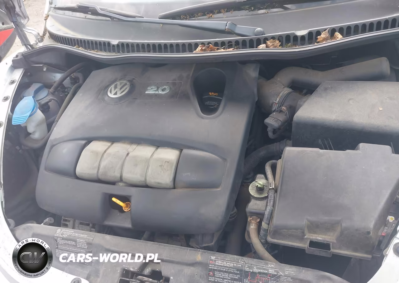 2004 Volkswagen New Beetle Gls VIN:3VWCM31Y14M338045 - 10